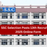 SSC Selection Posts 13th Online Form 2025
